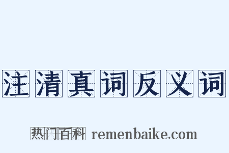 注清真词反义词是什么意思的图片